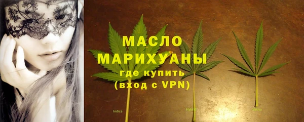 тгк Каменка