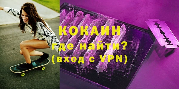 тгк Каменка