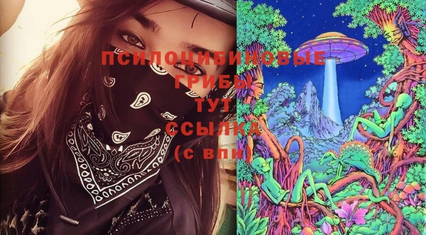 ешки Каменногорск