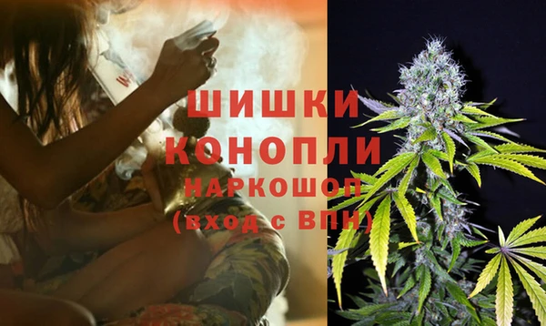 ешки Каменногорск