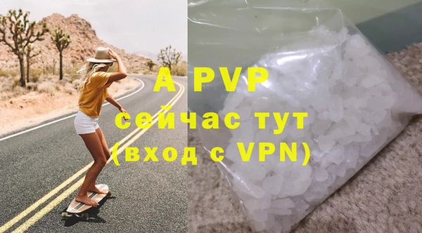 тгк Каменка