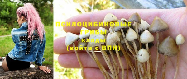 винт Каменск-Шахтинский