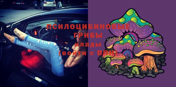 винт Каменск-Шахтинский