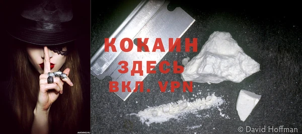 ешки Каменногорск