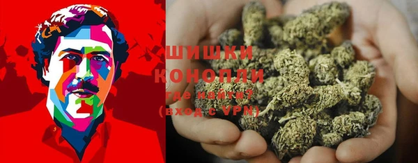 тгк Каменка